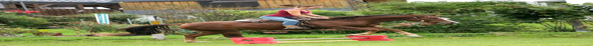 Reiten Reiten