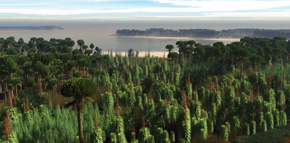 LVRLandesmuseum_Lindlarforest LVRLandesmuseum_Lindlarforest