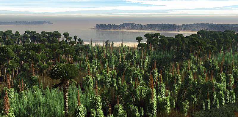 LVRLandesmuseum_Lindlarforest