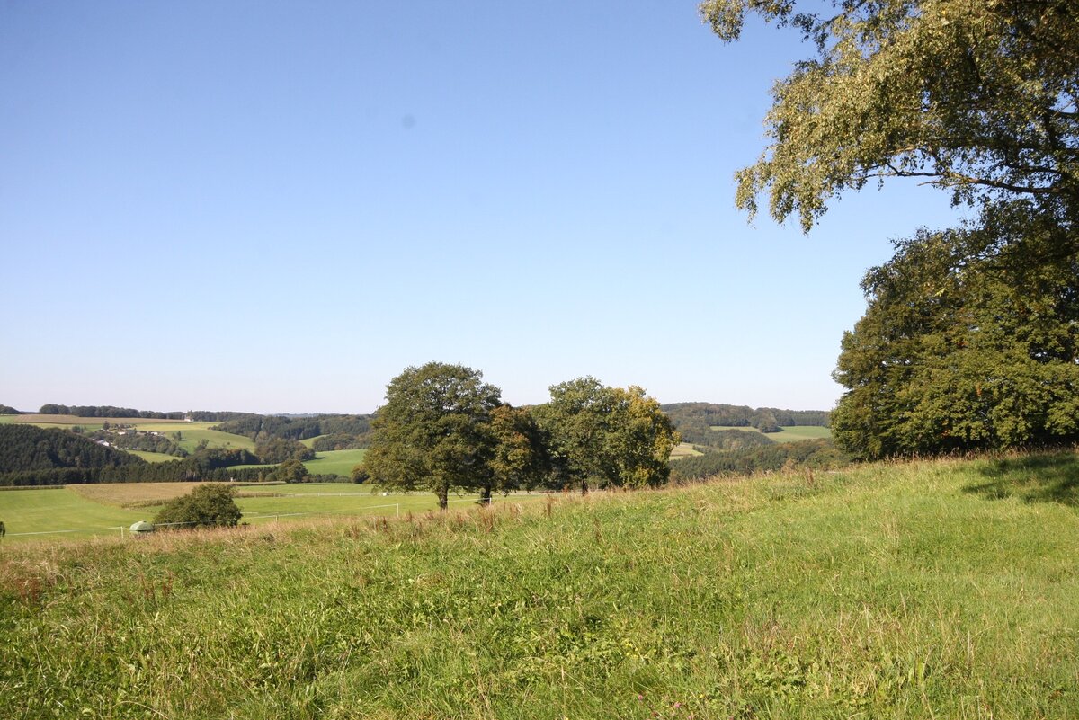 Aussicht Hohkeppel Aussicht Hohkeppel