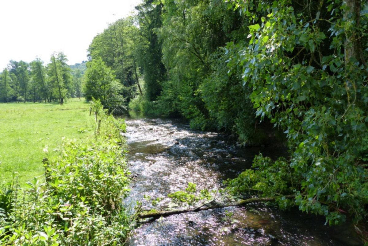 Wandern Wandern