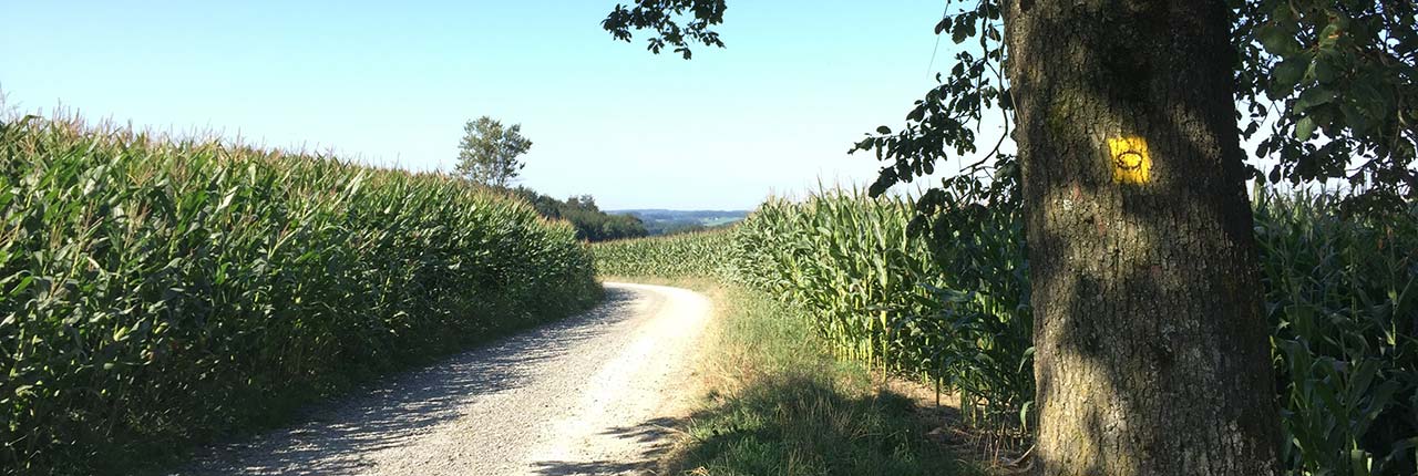 Sport & Freizeit